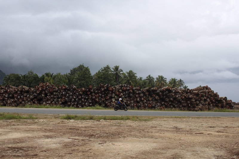 Bewani SABL, West Sepik Province, PNG © Global Witness