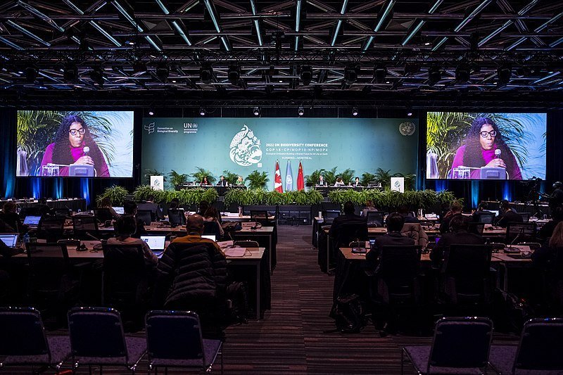 The spotlight is on leaders and representatives at COP15 in Montreal. Credit: UN Biodiversity Creative Commons