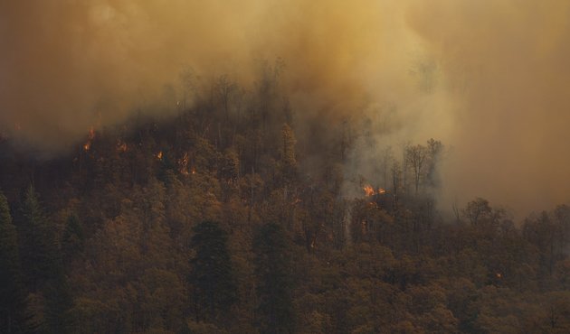 California's Camp Fire in November, 2018