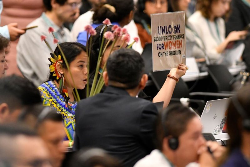 A representative of the Colombian Indigenous women communities delivers a speech during the first day of COP16. Gabriel Aponte / Getty Images