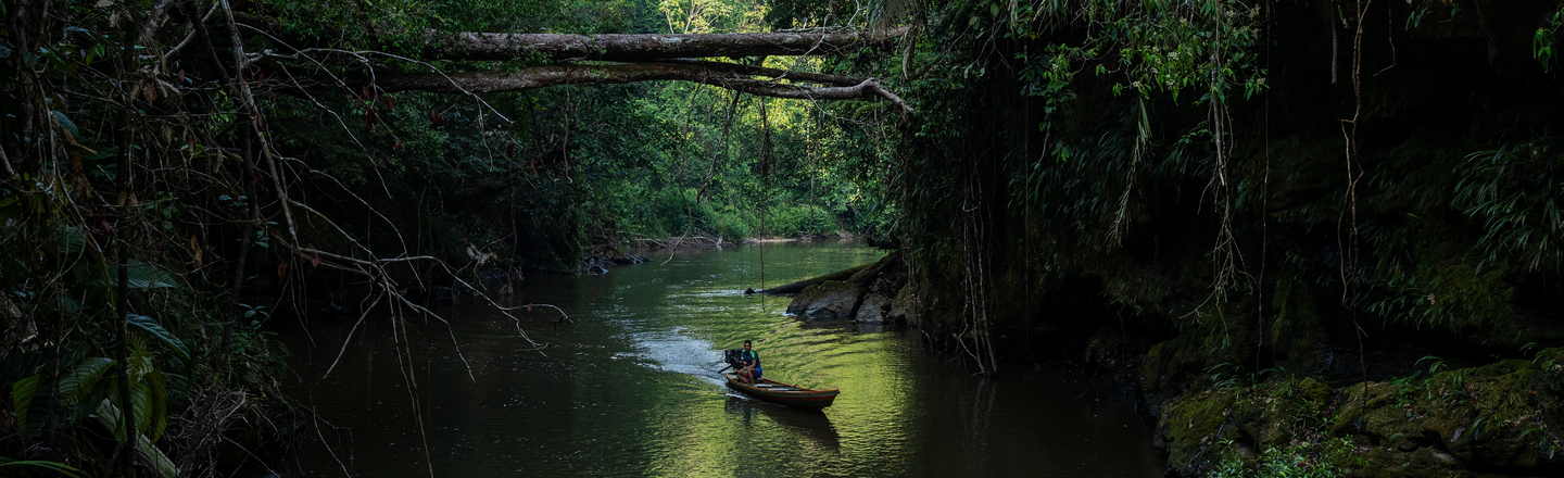 Photo showing intact forest and biodiversity in Acre state