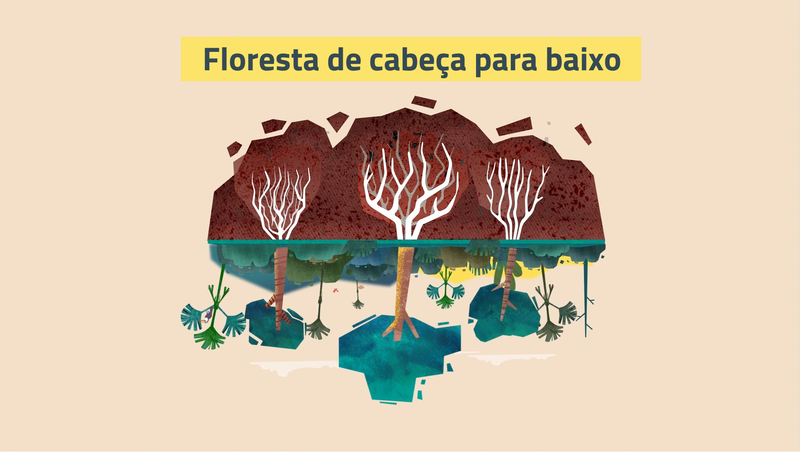 Upside down forest illustration portuguese