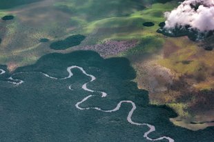 Aerial view of Congo Basin