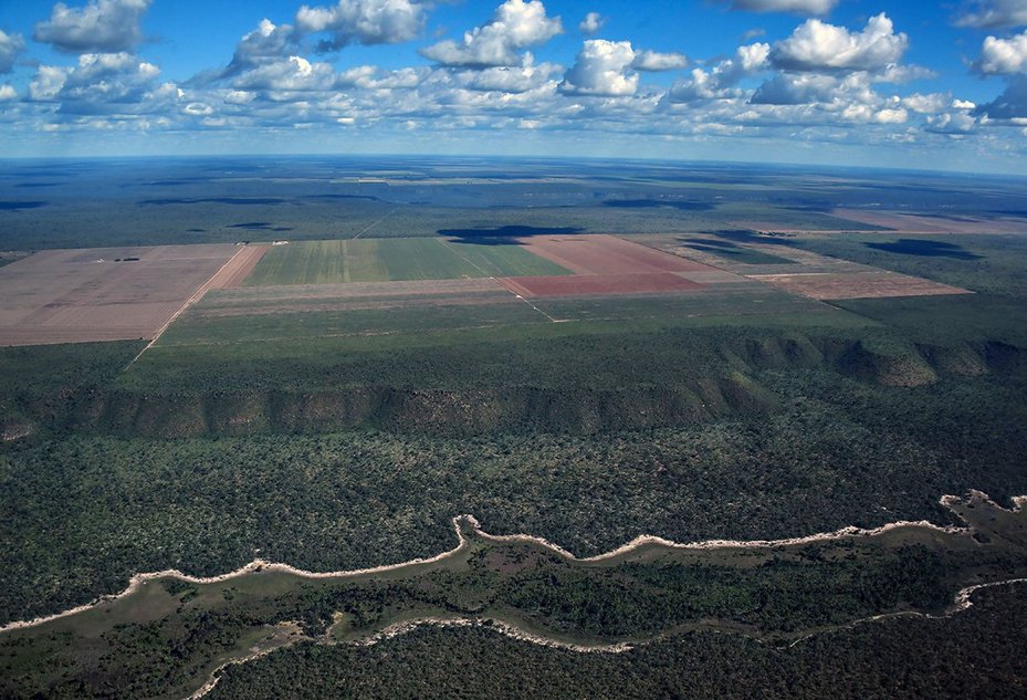 Aerial view showing a native Cerrado (savanna) surrounding an agriculture field in western Bahia state