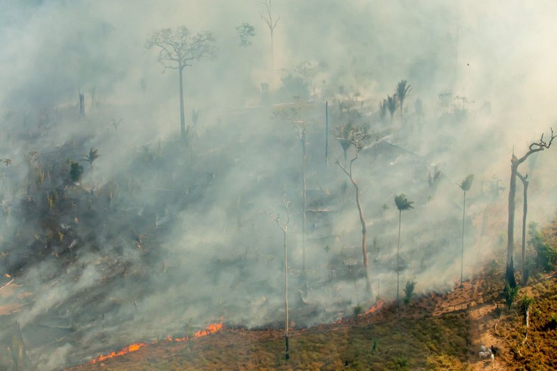 smoke from forest fire in amazon rainforest, which is suffering deforestation