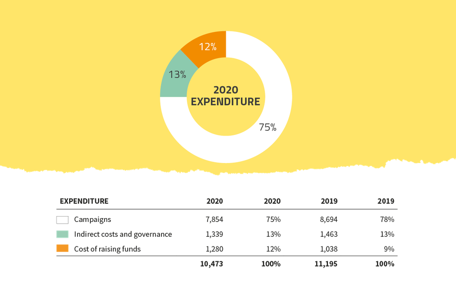 Global Witness 2020 expenditure graph