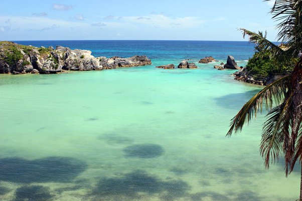 bermuda lagoon