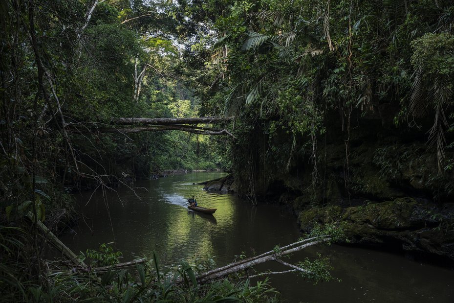 boat floating down river surrounded by thick cover of trees in amazon forest, acre state, brazil