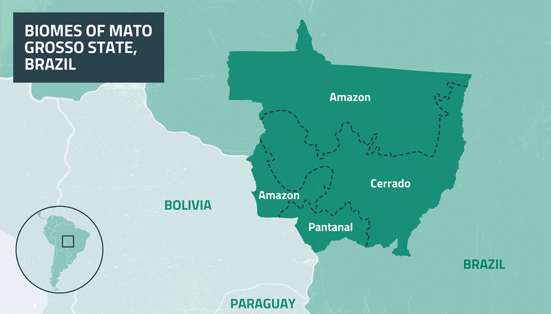 map showing biomes of mato grosso state, including cerrado savannah, brazil