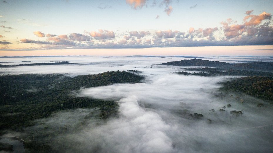 Drone shot of the Amazon rainforest