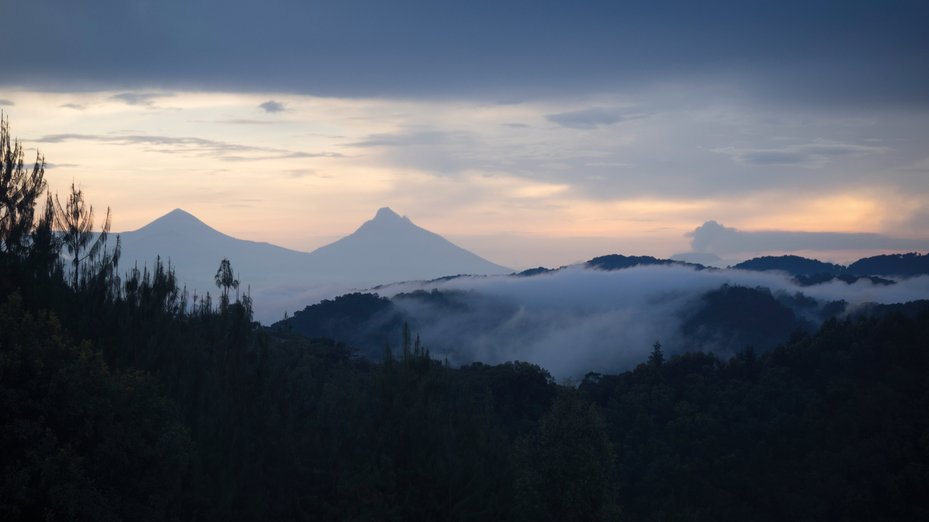 The Greater Virunga Landscape in Uganda and DRC