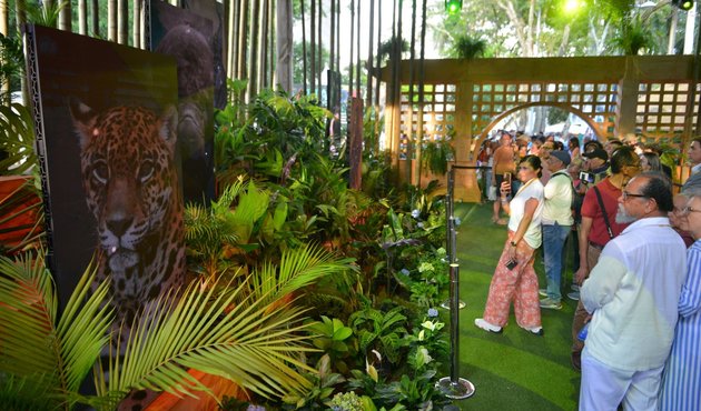 Tourists visit the Biodiversity and Climate Change District in the green zone of COP16 in Cali, Colombia