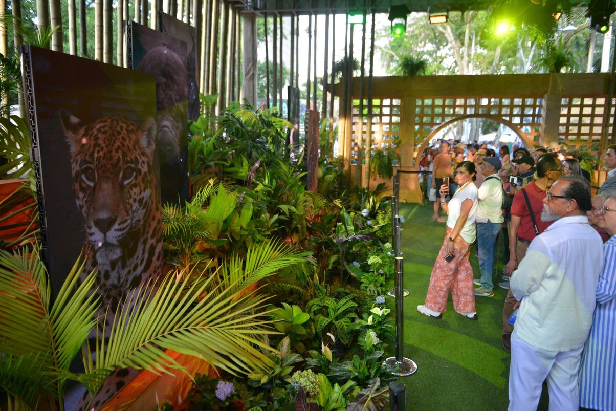 Tourists visit the Biodiversity and Climate Change District in the green zone of COP16 in Cali, Colombia