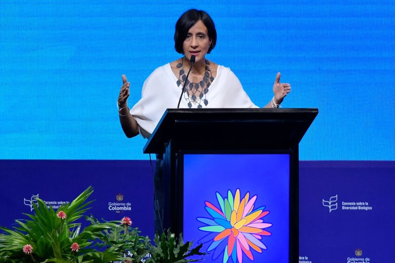 COP16 President and Minister of Environment for Colombia, Susana Muhamad, speaks during the high-level sessions of COP16. Gabriel Aponte / Getty