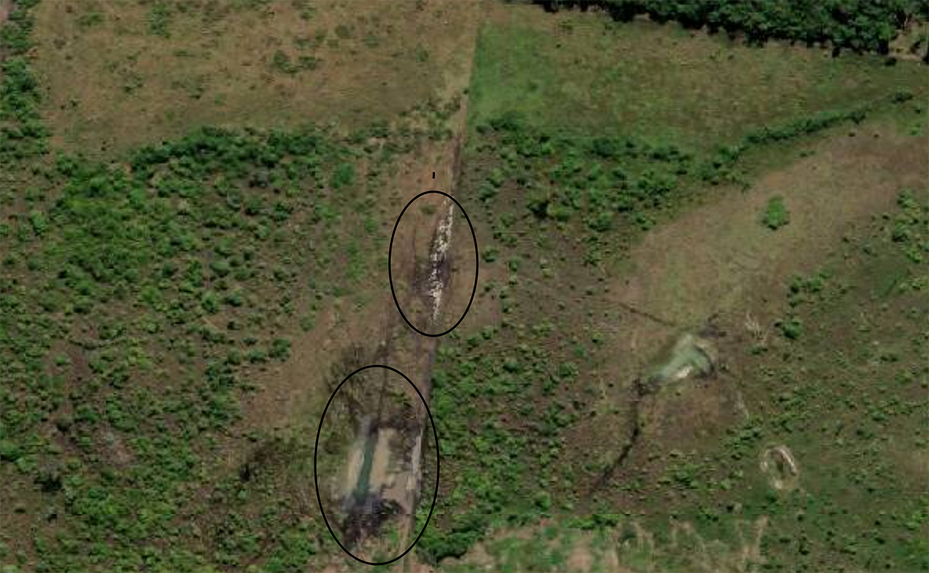 aerial view of what appear to be cattle grazing near a water source in an area of Fazenda Aparecida