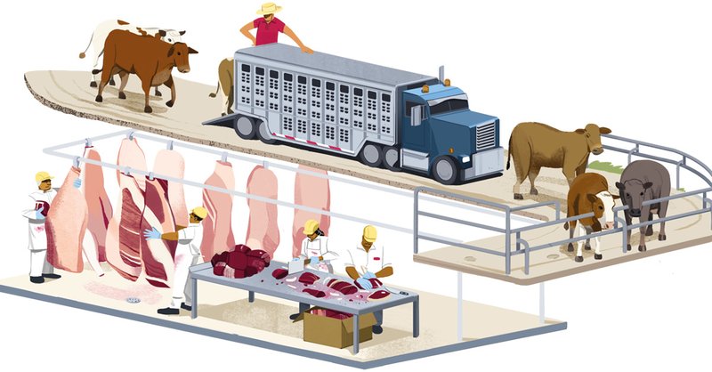 illustration of cattle traders passing on meat to be processed