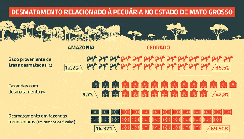 Cerrado Infographic Portuguese