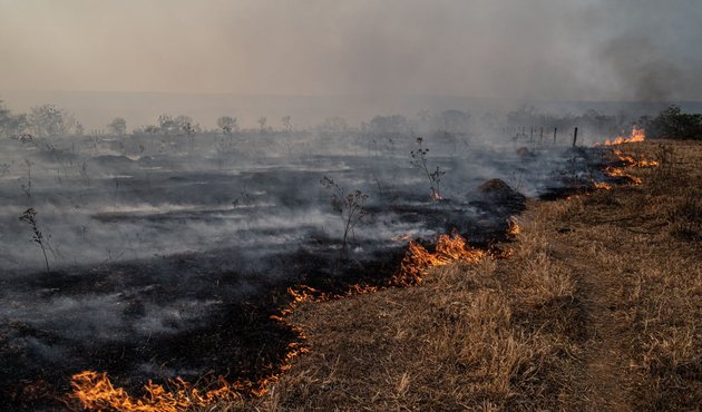 fire burns grass and trees in the Cerrado savannah in Chapada dos Guimarães, Mato Grosso, Brazil