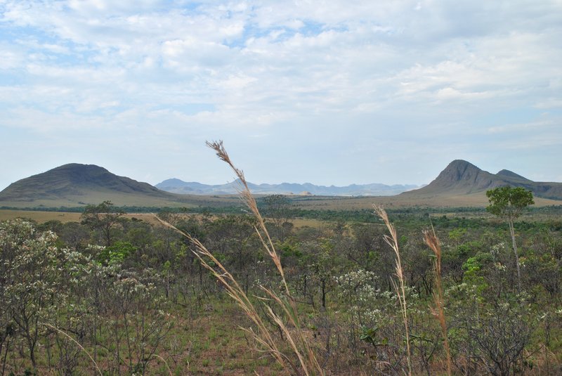 view of grasslands and hills in cerrado savannah in Chapada dos Veadeiros National Park, Goáis, Brazil