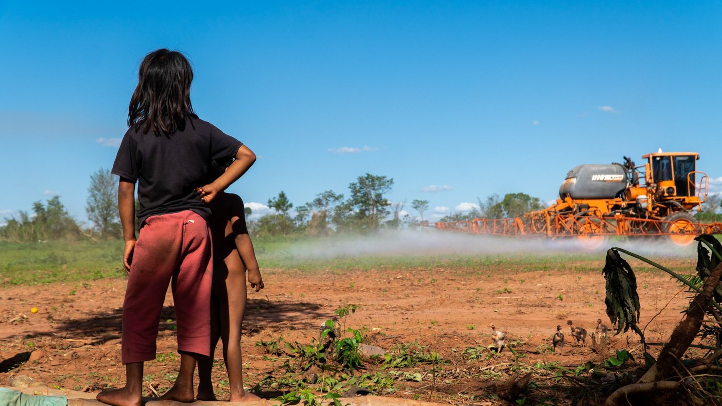 Ava Guarani children observe pesticide spraying at the edge of their village, Campo Agua'e