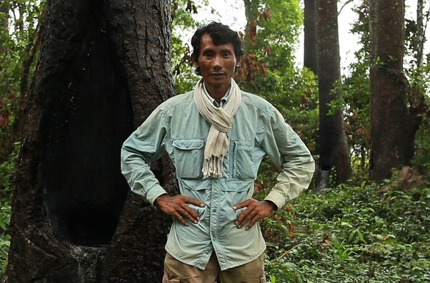 environmental defender Chut Wutty stands with hands on hips in the Cambodian forest he is campaigning for against logging