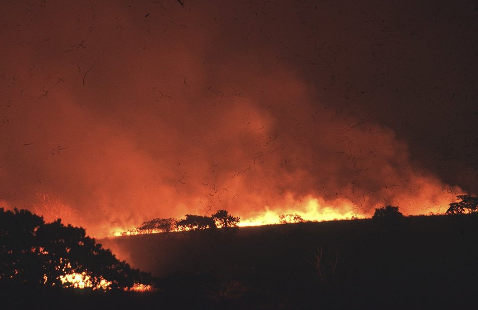 Clearing of Cerrado vegetation of the subtropical savanna biome by burning in Minas Gerais State, Brazil