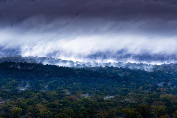 aerial view of The Congo Basin forest canopy