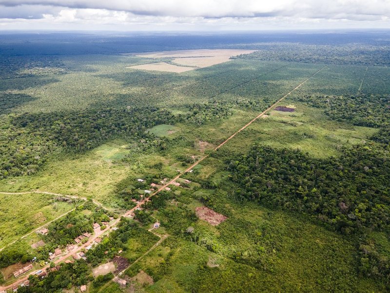 Aerial photography of Vila Gonçalves isolated by Agropalma’s palm plantation.