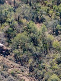 Bulldozers used for clearing forest on Cresud’s farms in Salta province, Argentina