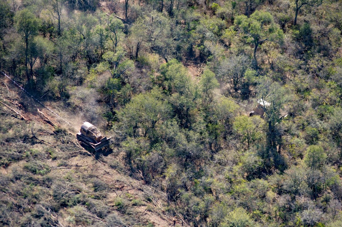 Bulldozers used for clearing forest on Cresud’s farms in Salta province, Argentina