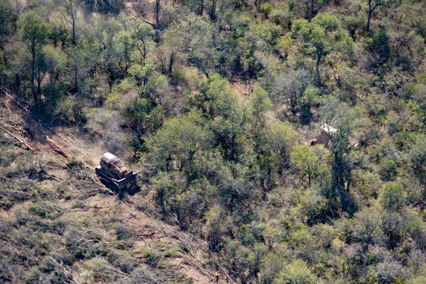 Bulldozers used for clearing forest on Cresud’s farms in Salta province, Argentina