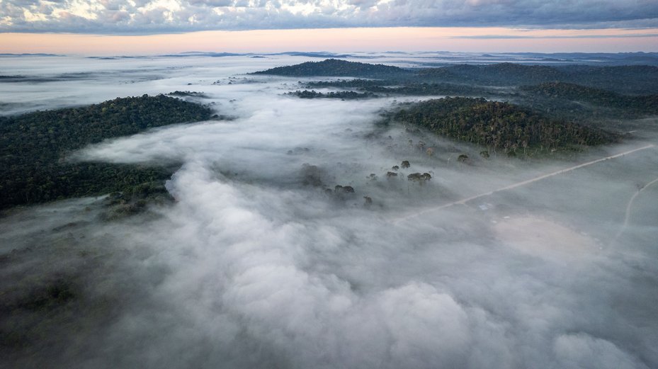 Kayapo territory Brazil