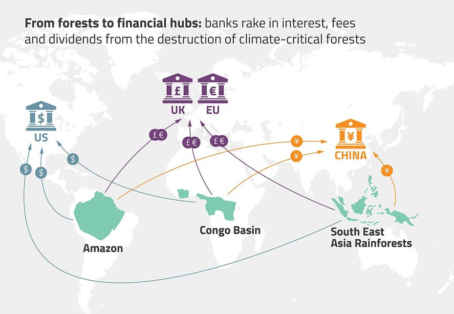 map showing flow of money from destruction of climate-critical forests to banks