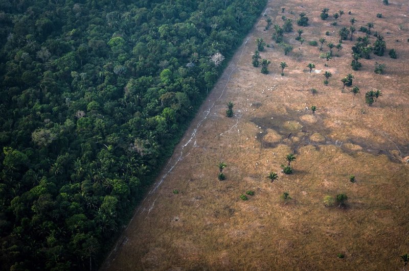 aerial view of forest facing land clearance and deforestation for agribusiness