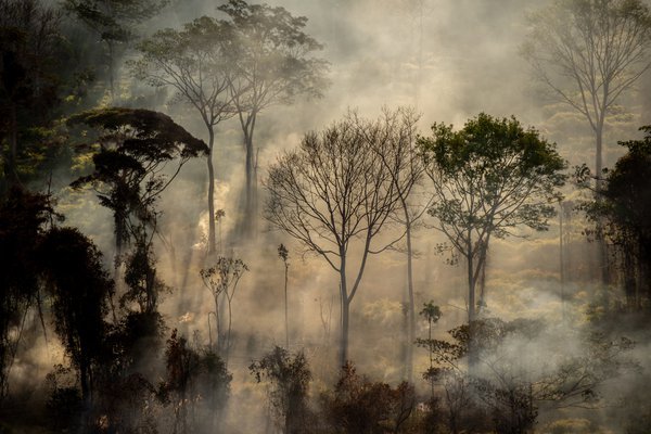 Forest fires blaze through the Amazon in Mato Grosso state