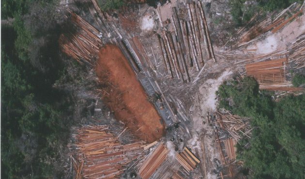 aerial shot of Illegal sawmill in Pheapimex logging concession, Prey Lang forest, Cambodia