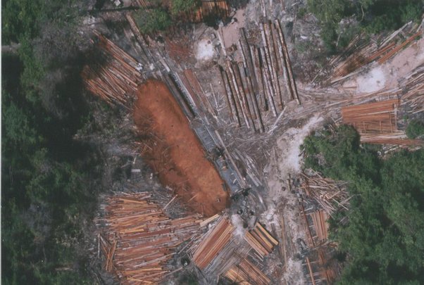 aerial shot of Illegal sawmill in Pheapimex logging concession, Prey Lang forest, Cambodia