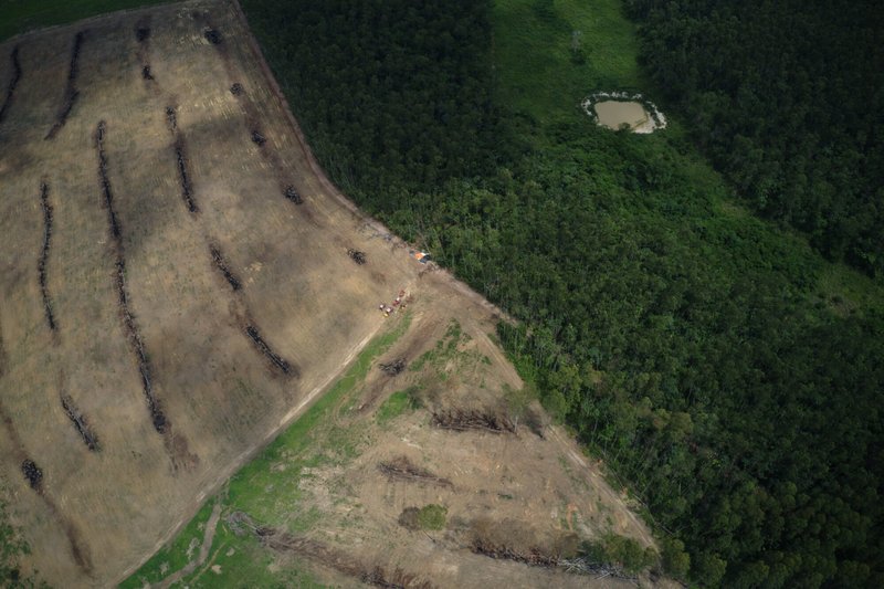 Still areal image of deforestation in the region of Marabá, Pará State, Brazil taken on 27th Nov 2021. Global Witness