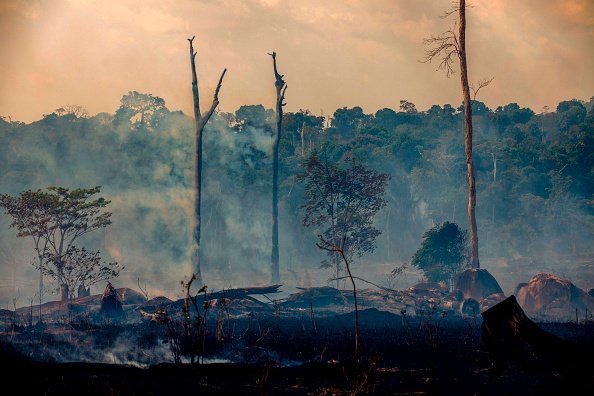 deforestation in amazon forest