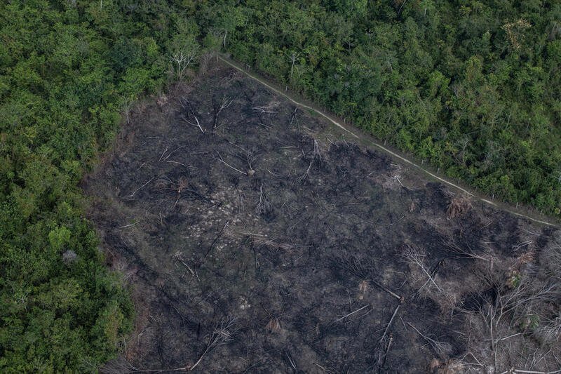 aerial image of deforestation on indigenous land in para state, brazil