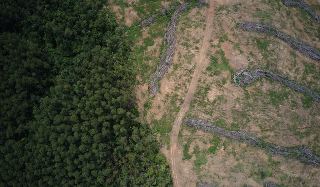 Still aerial image of deforestation in the region of Marabá, Pará State, Brazil taken on 27th Nov 2021.