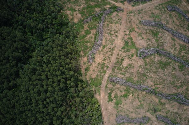 Still aerial image of deforestation in the region of Marabá, Pará State, Brazil taken on 27th Nov 2021.