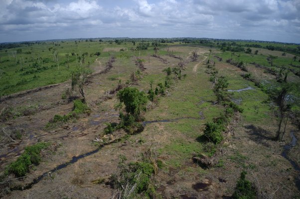 Deforestation in the region of Maraba Pará State Brazil