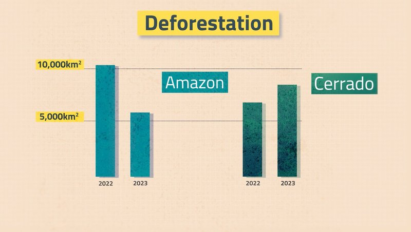 chart showing how deforestation is increasing in cerrado savannah while it slows down in amazon forest