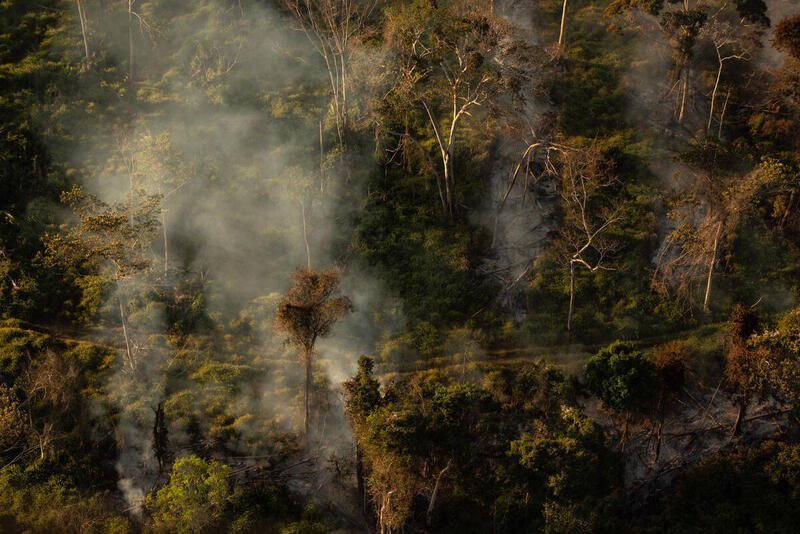 burning forest in deforested area in Alta Floresta, Mato Grosso state, in July 2020