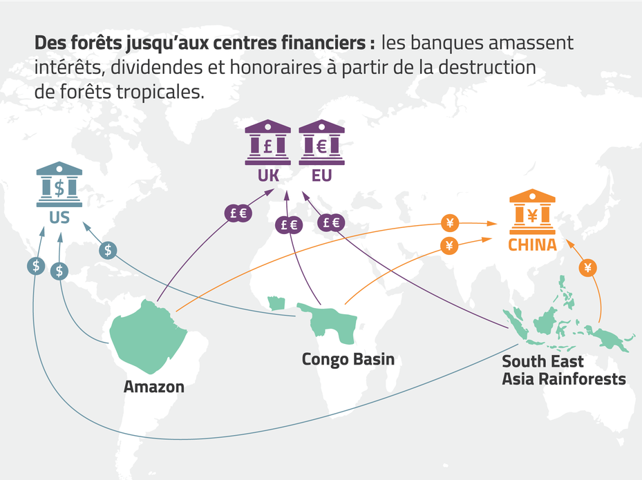 map showing financial flows between deforestation in climate-critical forests and banks, with text that says "From forests to financial hubs: Banks rake in interest, fees and dividends from the destruction of climate-critical forests" in French