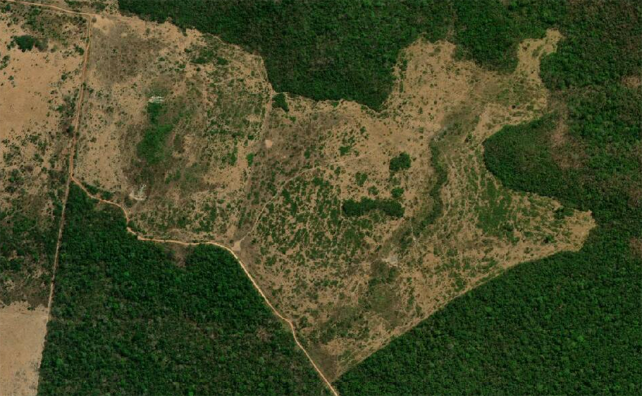 Satellite aerial imagery of Fazenda Boca do Monte