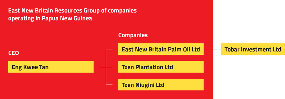 graphic showing CEO Eng Kwee Tan's portfolio of companies, including Tobar Investment Ltd