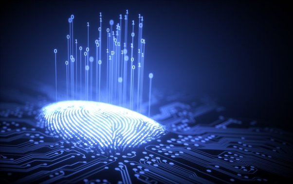 Finger print and data