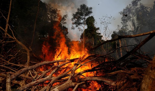 Forest burning for deforestation - Reuters